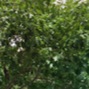 Meet your Posher, Ava